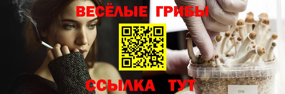 Псилоцибиновые грибы ЛСД  Вход с VPN  Верхний Уфалей 